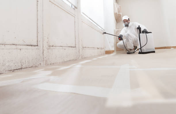 24/7 Emergency Mold Cleanup experts in Fairfield, IL
