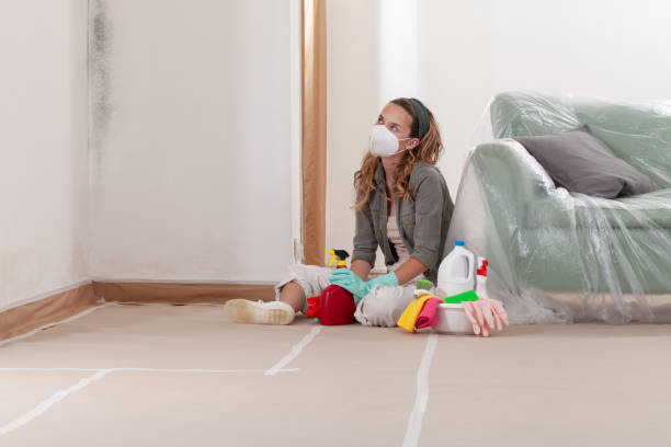 Reliable Mold Cleanup contractor in Fairfield, IL by Cheap Mold Removal